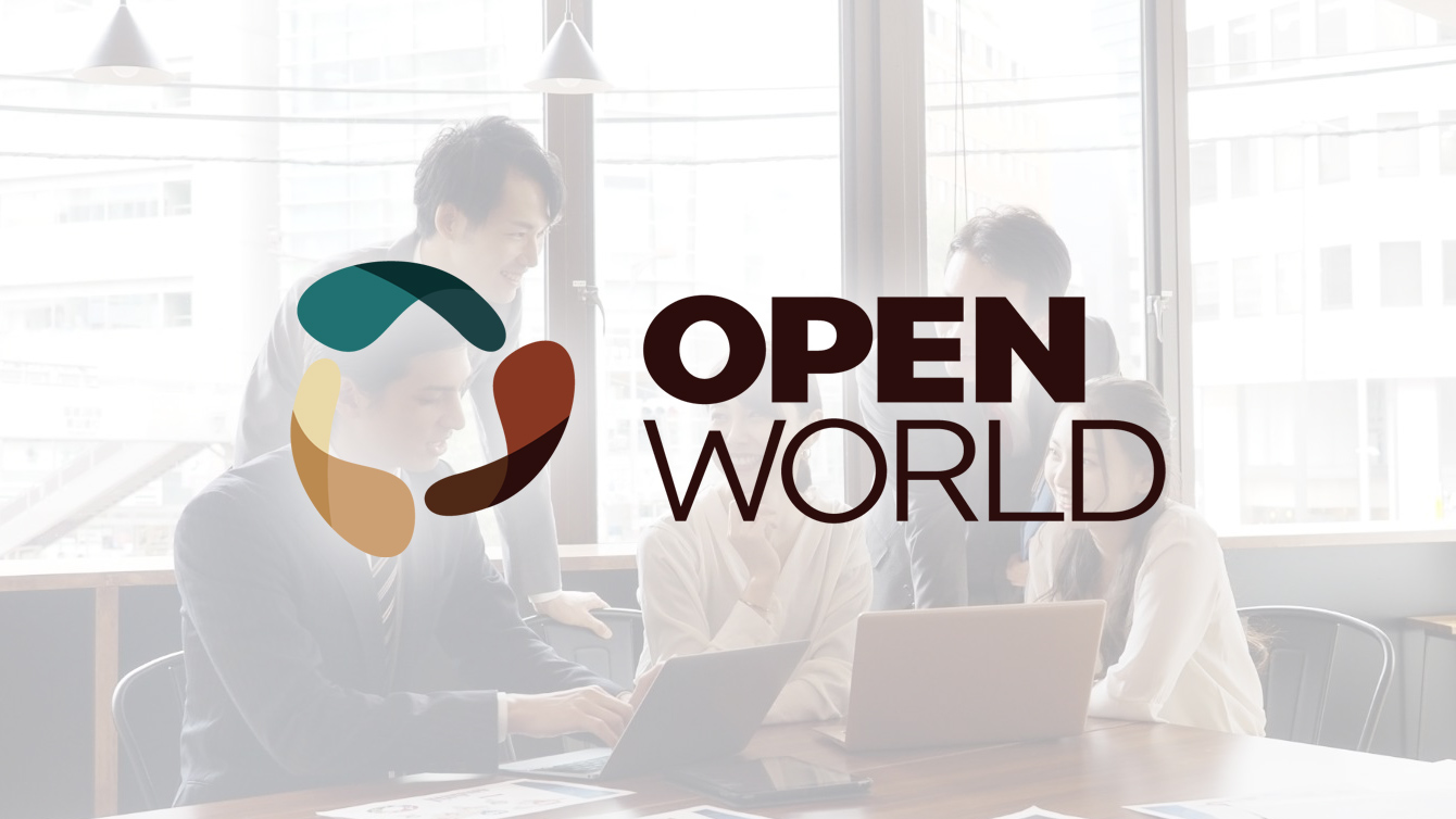 What services does OPEN WORLD 株式会社 offer?